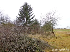Nógrád megyében Varsányban kádár családi ház eladó - kép 4