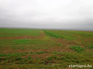 Nógrád megyében Varsányban kádár családi ház eladó - kép 5