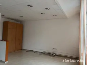 Újpesten a Klauzál utcában ipartelepen ioda kiadó! - kép 7