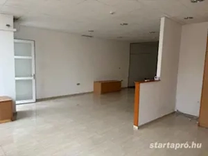 Újpesten a Klauzál utcában ipartelepen ioda kiadó! - kép 6