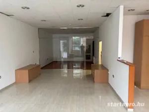 Újpesten a Klauzál utcában ipartelepen ioda kiadó! - kép 5