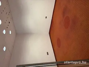 Újpesten a Klauzál utcában ipartelepen ioda kiadó! - kép 10