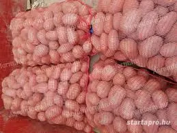 Étkezési Bellarosa burgonya eladó - kép 2