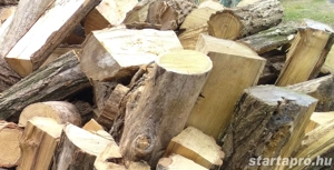 Konyhakész tűzifa akác, Balatonfenyves hétvégén is