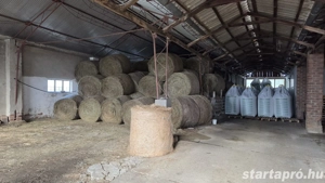 600 m  gazdasági ingatlan kiadó  - kép 3