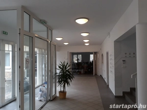 Festés-mázolás-tapétázás - kép 7