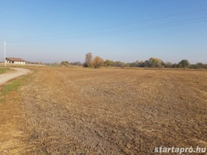 Kiskunhalas Kertvárosi, osztható   fejlesztési terület eladó!