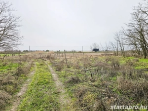 Bócsa külterület   felújított tanya eladó! - kép 15