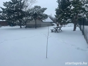 fül premiumos kiadó - kép 6