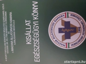 Mini yorkshrie terrier kölykök  - kép 3