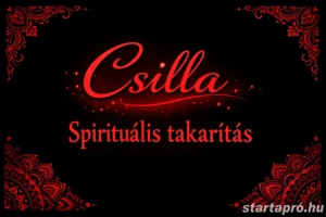 Családi házak és lakások takarítását vállaljuk 