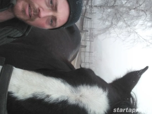 Munkát keresek Veszprém