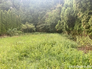 Befektetők- vállalkozók figyelmébe ajánlom! 15597 nm -es birtok tehermente birtok eladó! - kép 9