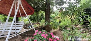 Gyönyörű kert közepén családi ház eladó - kép 5