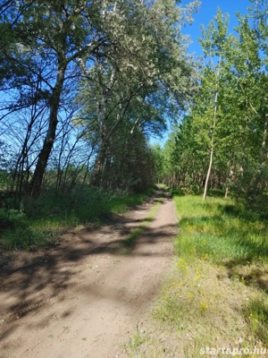 Vasad termőföld eladó ,nem kell kifüggeszteni