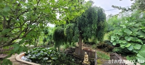 Gyönyörű kert közepén családi ház eladó - kép 6