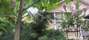 Gyönyörű kert közepén családi ház eladó - kép 16