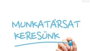 2800 EUR nettó hó Éttermi Eladó és kisegítő munkatárs - kép 2