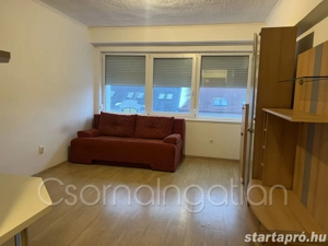 Kapuvár - lakás kiadó - kép 3