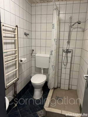 Kapuvár - lakás kiadó - kép 4