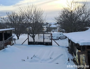Gombán, 2 szoba + nappalis családi ház 1440 m2-es telekkel - kép 15