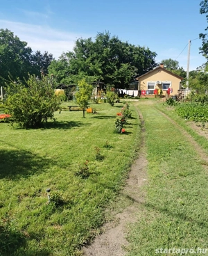 Kiskunhalas Sóstón hangulatos kis ház parkosított udvarral!