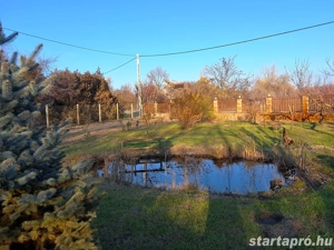 Kiskunhalas Sóstón hangulatos kis ház parkosított udvarral! - kép 11