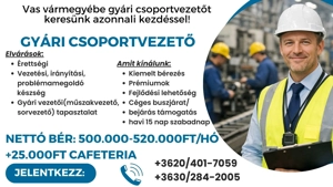 Gyári csoportvezetőt keresünk Vas vármegyébe!
