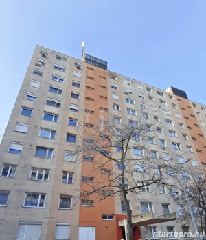 Újpalotán, földszinti, felújítandó, világos lakás eladó! - kép 2