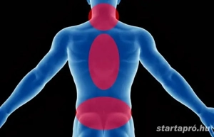 Terápiás masszázs ízületi és mozgásszervi fájdalmakra - kép 14