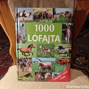 1000 Lófajta (336 oldal)
