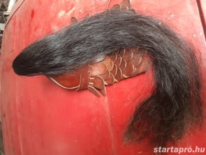 Sisak elado - kép 3