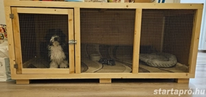 Nagyméretű kutya kennel 