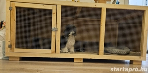 Nagyméretű kutya kennel  - kép 2