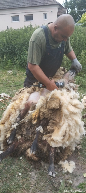Birka nyírást vállalok