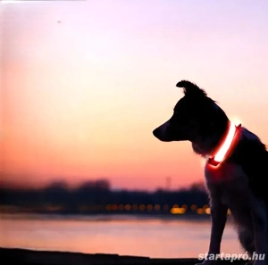 VAUTÁRS - Prémium Kutyatermékek Webshop - kép 2