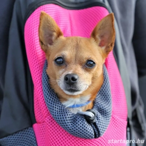 VAUTÁRS - Prémium Kutyatermékek Webshop - kép 4