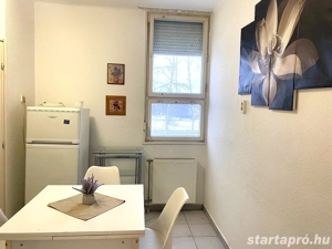Kiskunhalas Esze T. lakótelepen 1.em. 2 szobás bútorozott lakás! - kép 6