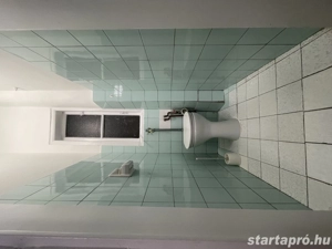 Kiadó 4 szobás, 100 nm-es lakás a Városliget mellett   GARÁZZSAL!  - kép 13