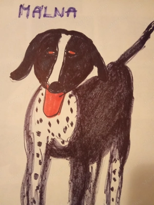 Málna kutya várunk haza Szegedre!