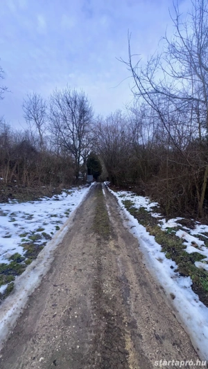 Belterületi, téglaépítésű, 2 szintes ingatlan, 1871 nm-es telken eladó! - kép 11