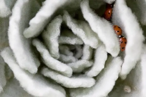 Munkákat találnék