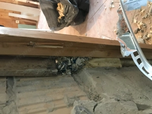 Ezermester-Nyaralószervíz - kép 10