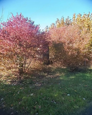 Veszei kertekben telek eladó - kép 3
