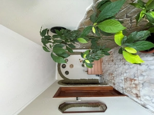 Csömör - 1 szintes korszerű családi ház! - kép 3