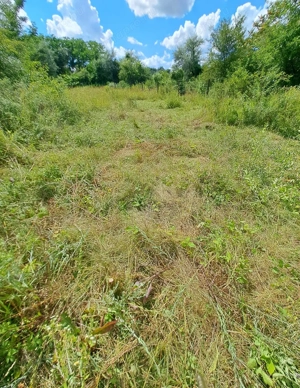 Kiadó telek - kép 2