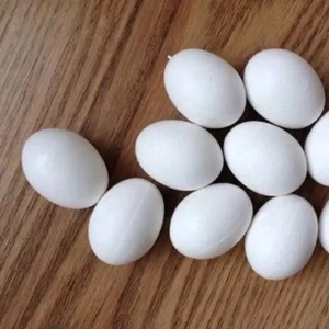 Termékeny papagájtojások és papagájfiókák kaphatók. - kép 6