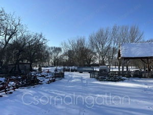Potyond - lakóház nagy telken gazdasági épületekkel eladó - kép 3