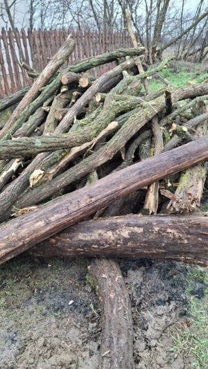 Akác tüzifa  - kép 4