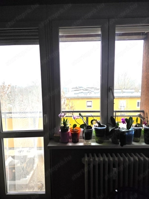 Vasútállomáshoz közel Deák F.utcai 2 szobás erkélyes 55 m2-es 5 emeleti zsaluzott téglalakás - kép 4